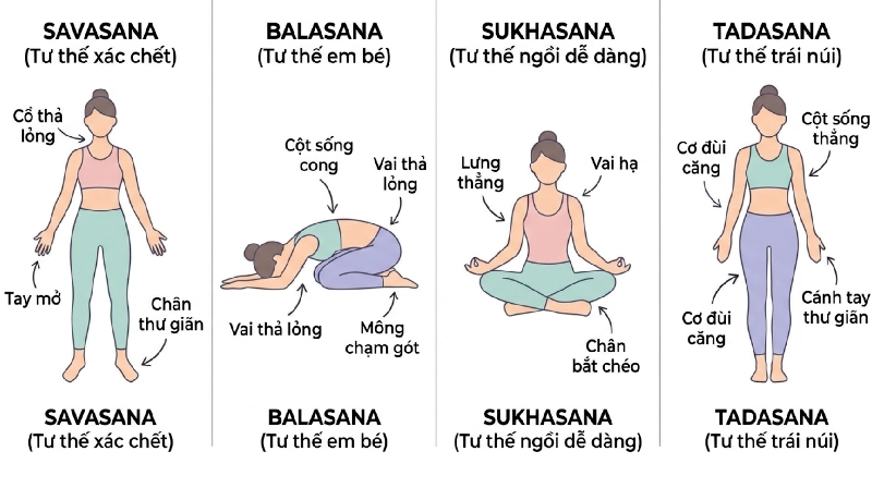 cac-tu-the-yoga-co-ban-cho-nguoi-moi