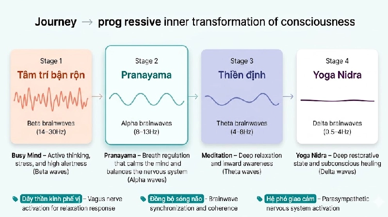 hanh-trinh-tu-pranayama-den-thien-dinh-yoga-nidra-song-nao