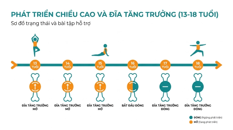 infographic-yoga-tang-chieu-cao-theo-tuoi