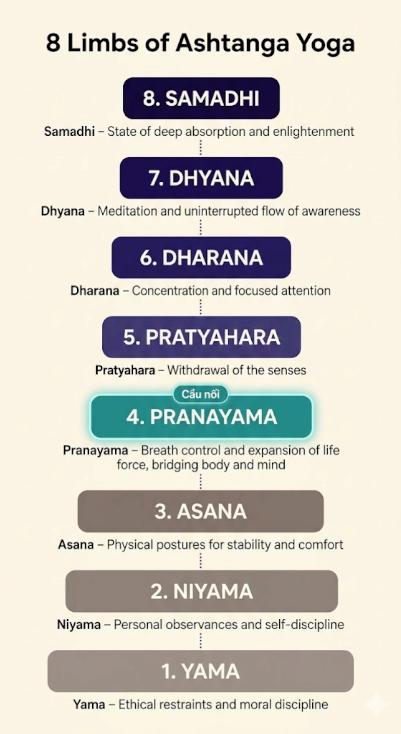 pranayama-trong-8-nhanh-yoga-ashtanga-patanjali